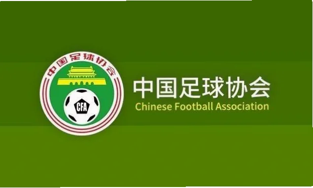 中超升级新军